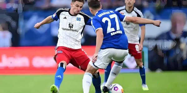 德甲：汉堡VS圣保利比赛分析