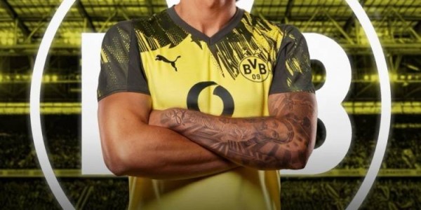 刚提的新车！图片报：多特2250万欧新援法比奥-席尔瓦预计伤缺4周